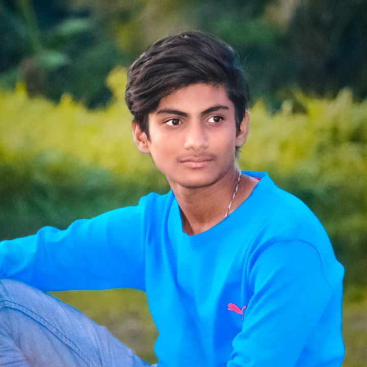 saipraveenparasa