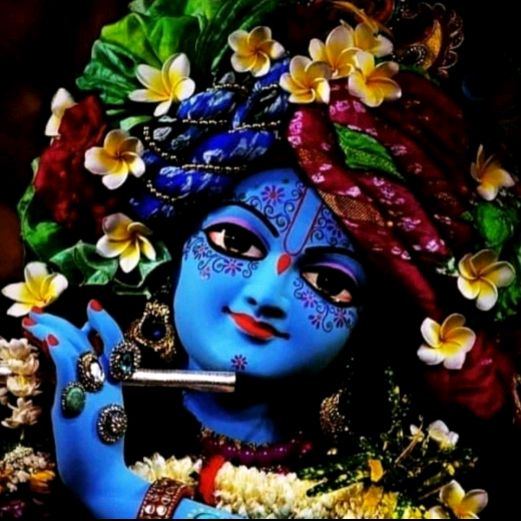 kajalsisodiya28