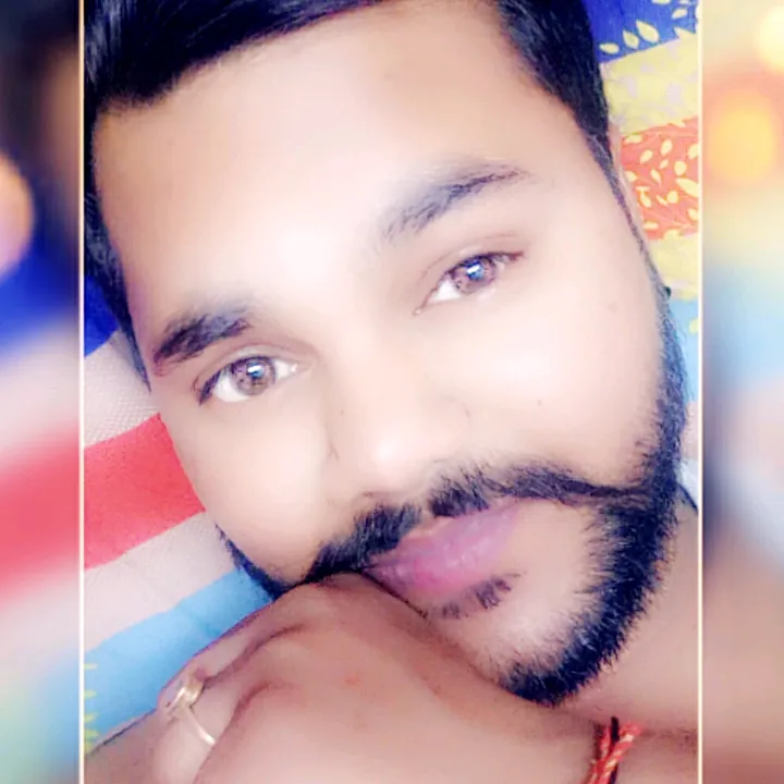 sunnybrarbrar6