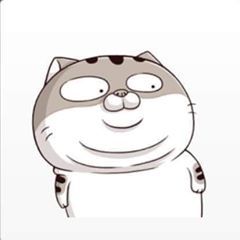 miichaanjp