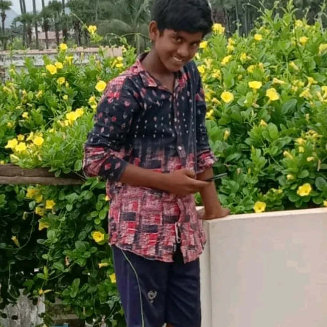 allusrinu52