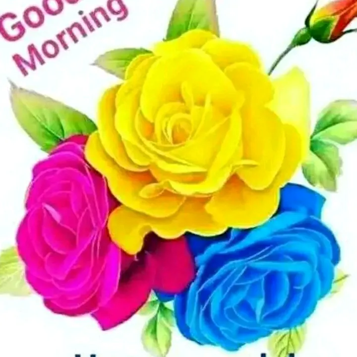 janvisharma_004