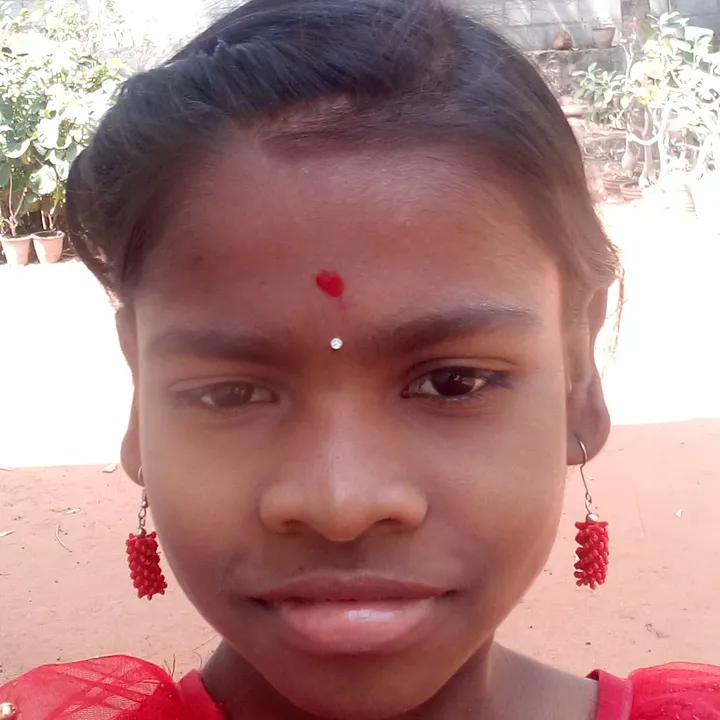 31575441081