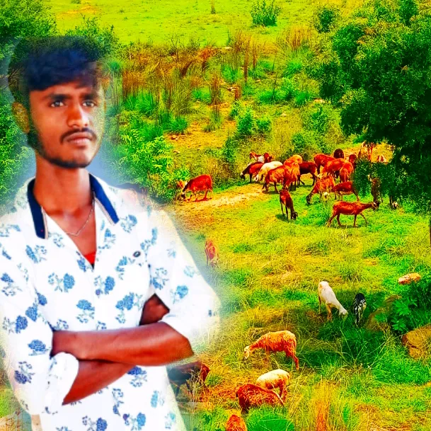 rakeshraki4736