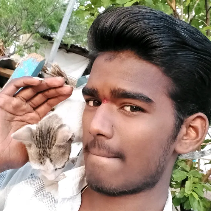 naveen.kamadolli