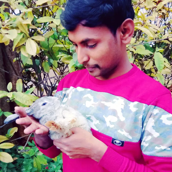 yogeshgowda59