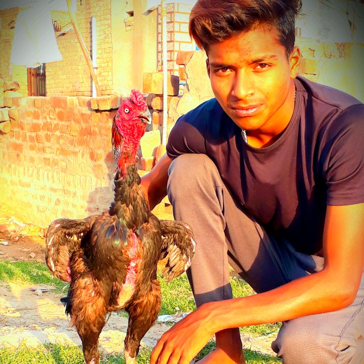 vishalchandaliya420