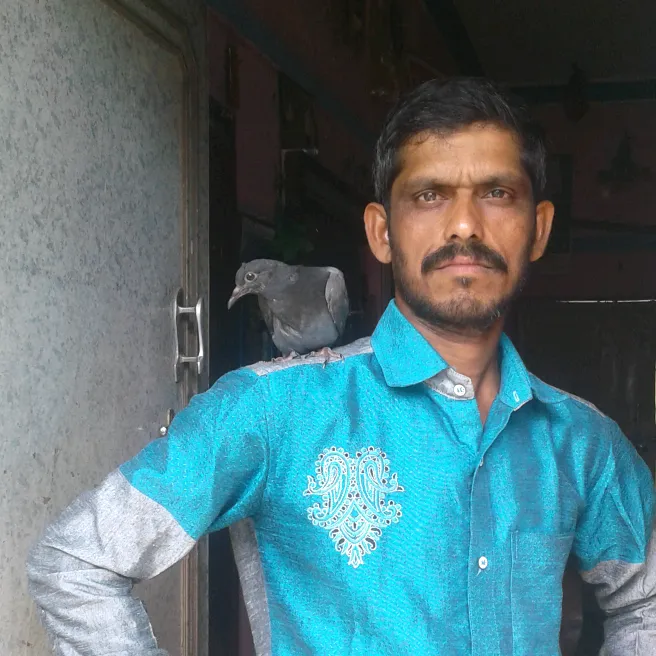 shaikpira