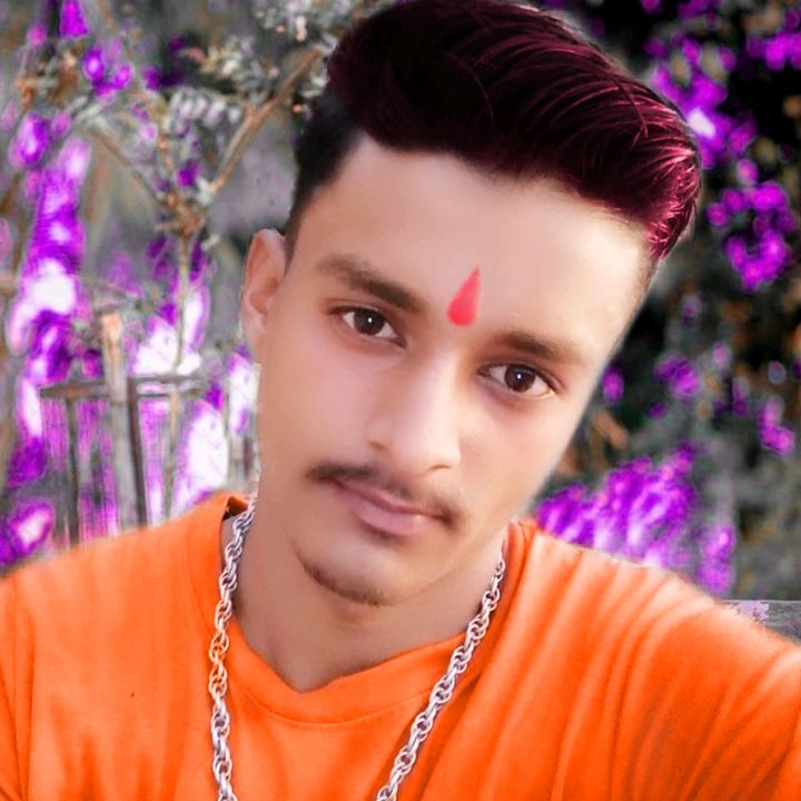 parkashsirvi06