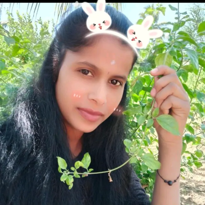 sathyanavyasri