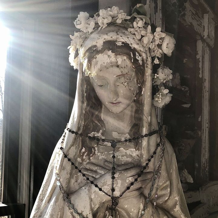 venus_4ngelzzz