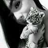 sholanhs_