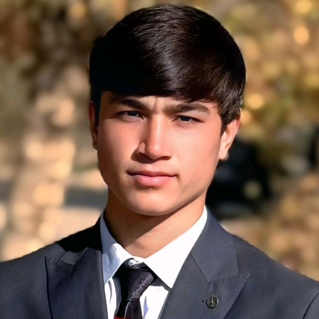 musaev17