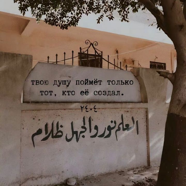 mugiwaro_18