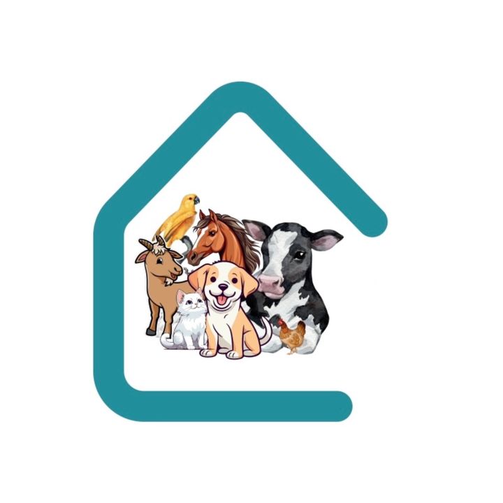 southpunjabvetclinic