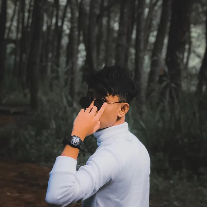 ds.dhi