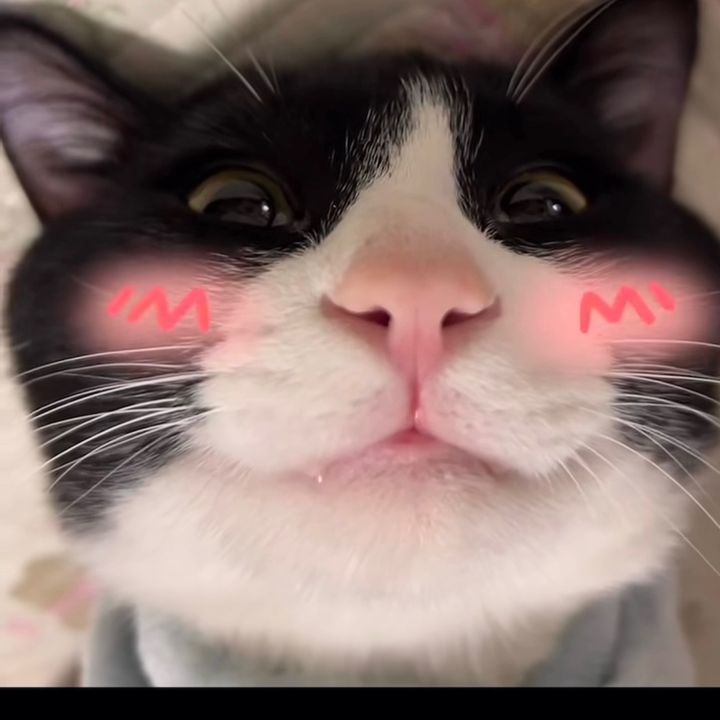 ngochanbxlc
