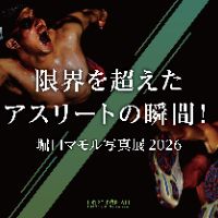 mamoruhoriguchi