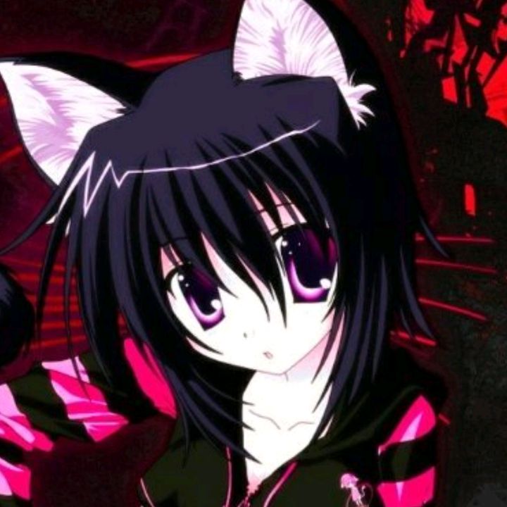 lexycat - ♛ #cherryCrush ✮°｡⋆