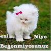 mc.mesken.ofcall