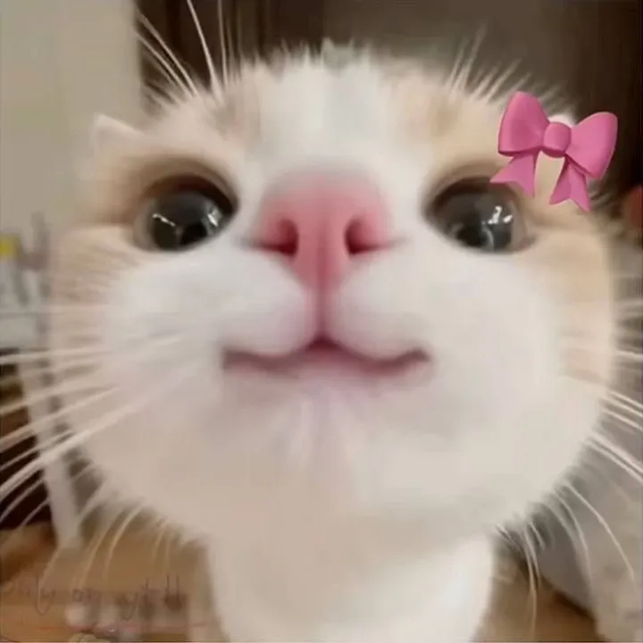 onlysweetmeee