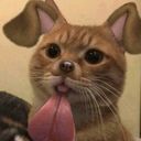 @_653909