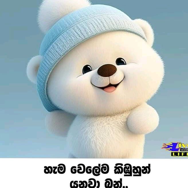 rashi8168