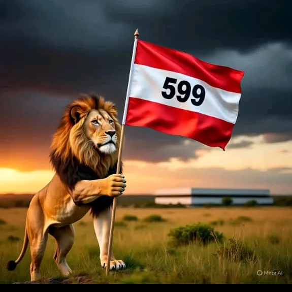 599ontop