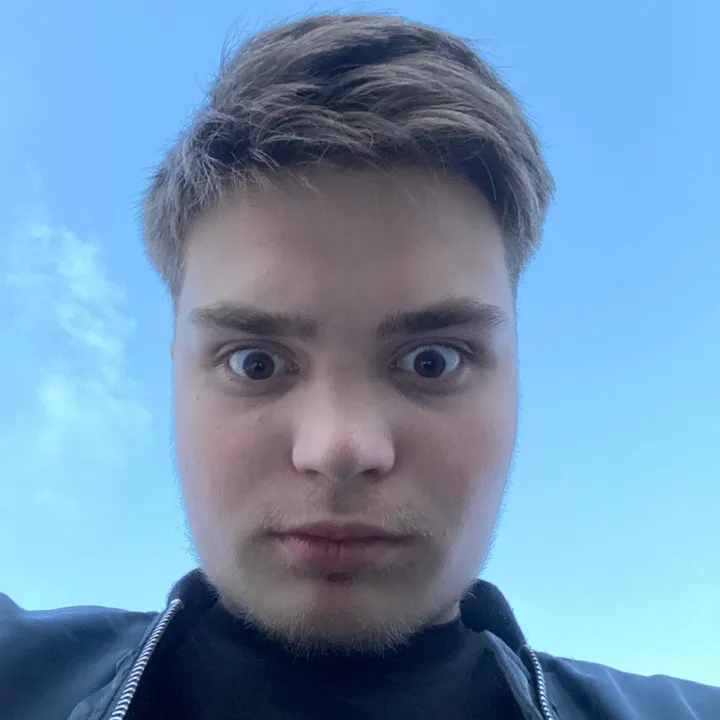 official_zapletin