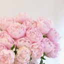 @minhhuongxd272