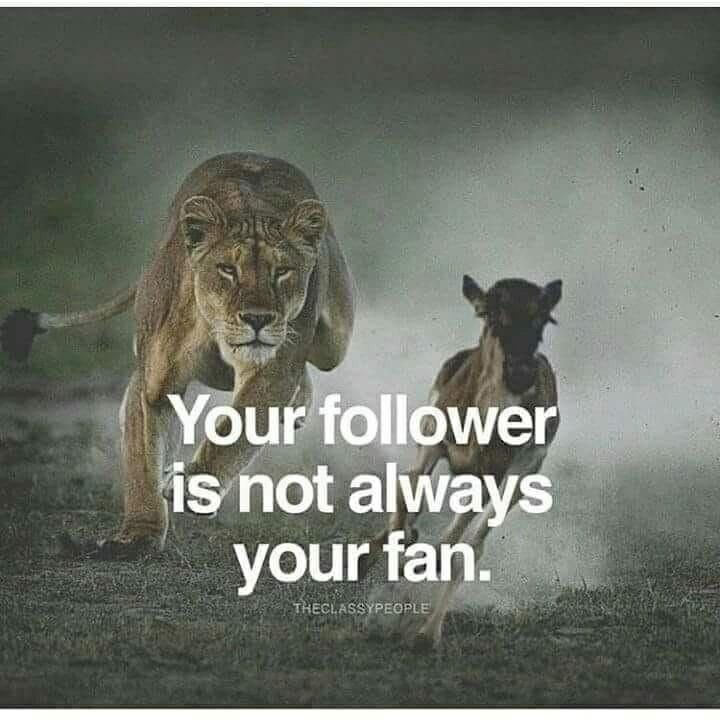 ak_naif