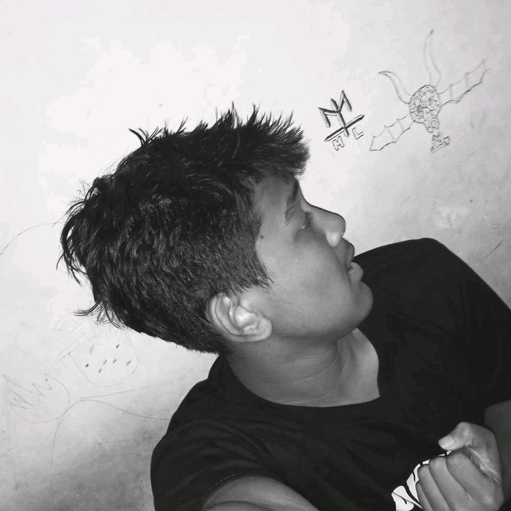 xynz__logzz