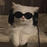 _nanda_070