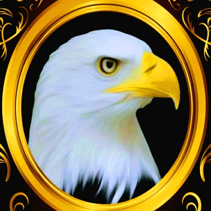 @bald_eagle.1