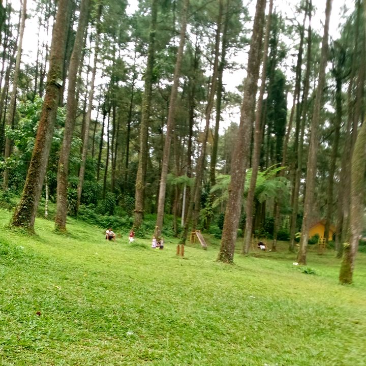 shanum_malayeka