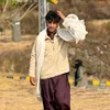 khpalvines2