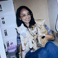 kringkringandfriends