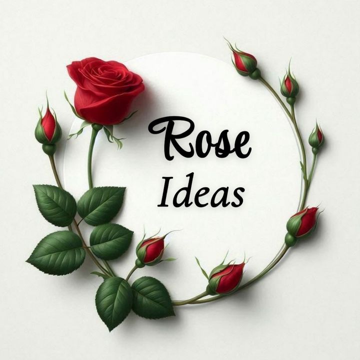 @roseideas266