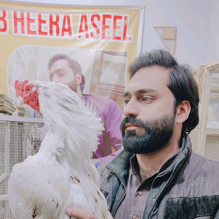 nayaabaseel1