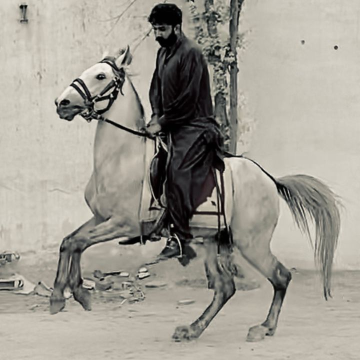 makhdoomawaisshahoffcial