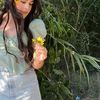 michellej_vb