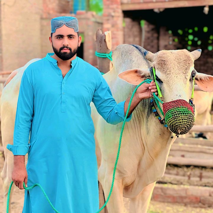 chshahidmarral