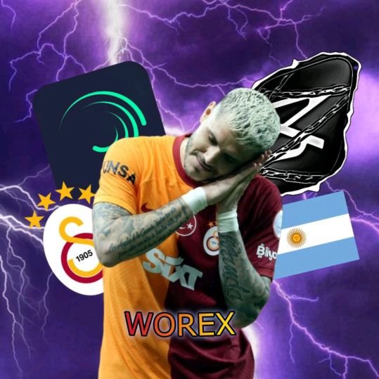 worex.editzm24