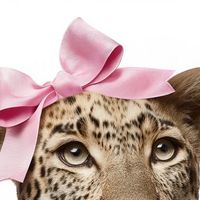 imanotaprincessimaqueen1