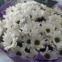 @eyelashes_mgs_