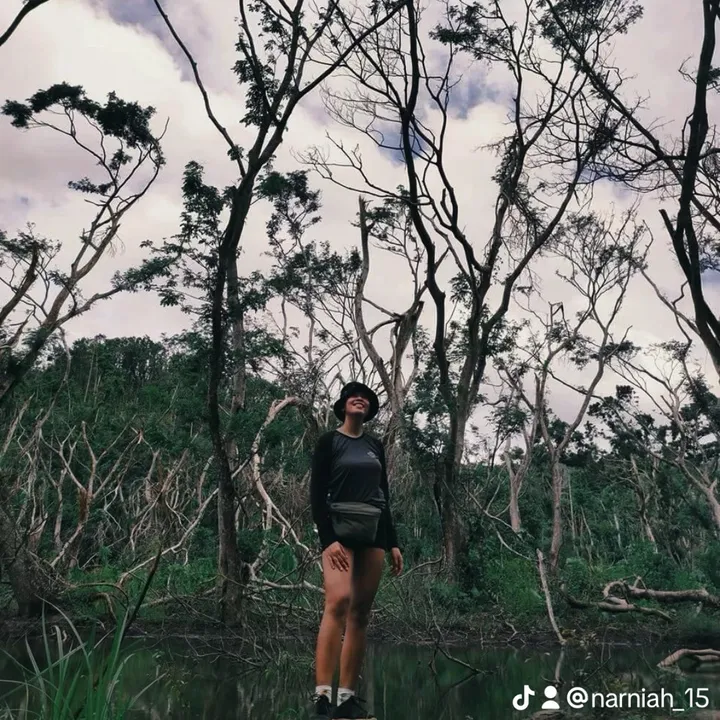 narniah_15