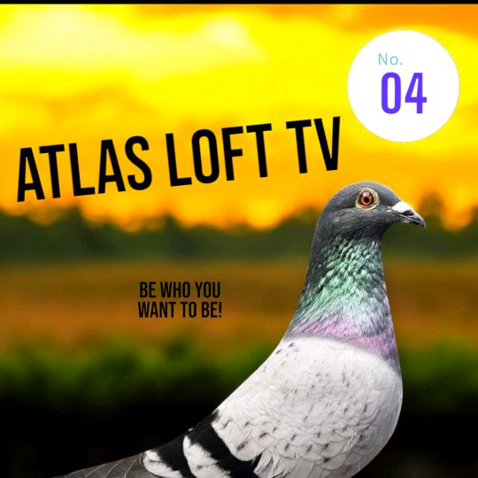 atlaslofttv45