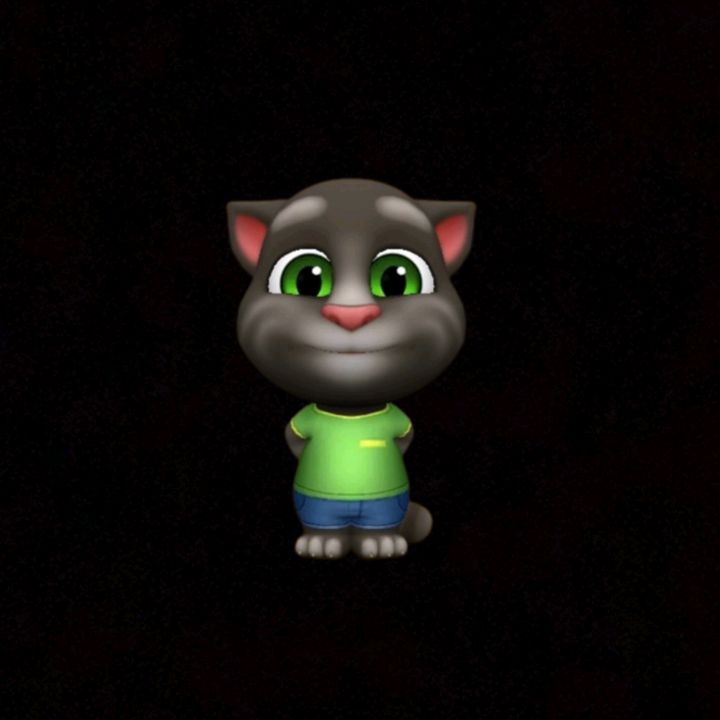 mytalkingtomofficial_490