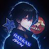 harkan_editor