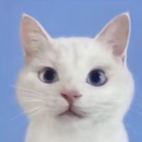 _x3qn7